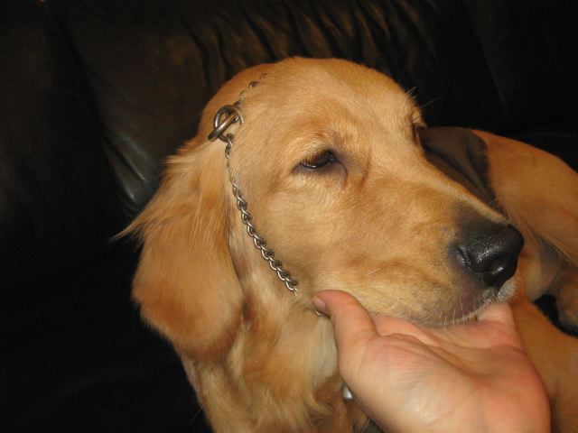 ファイル 160-5.jpg