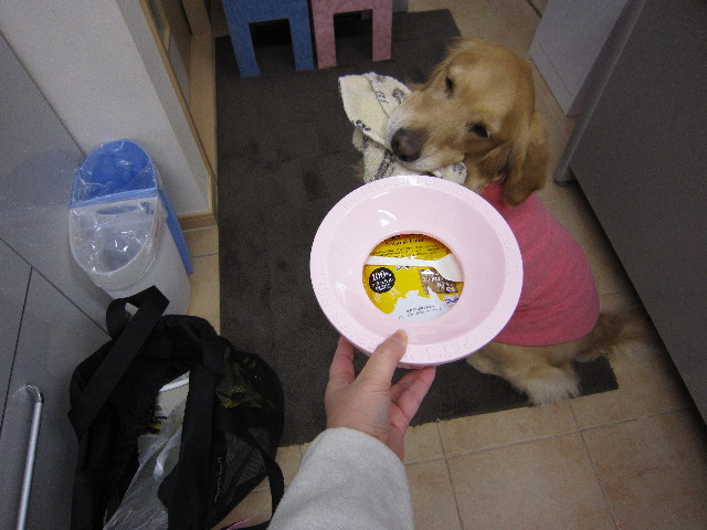 ファイル 1600-2.jpg