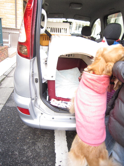 ファイル 1600-3.jpg