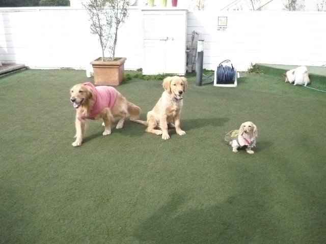 ファイル 1600-5.jpg