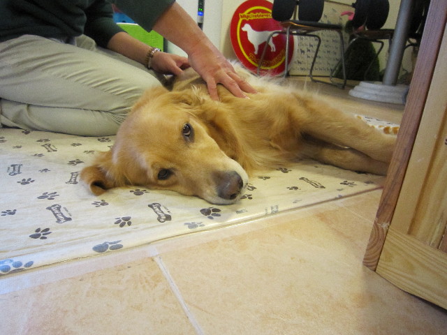 ファイル 1602-4.jpg