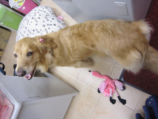 ファイル 1602-5.jpg