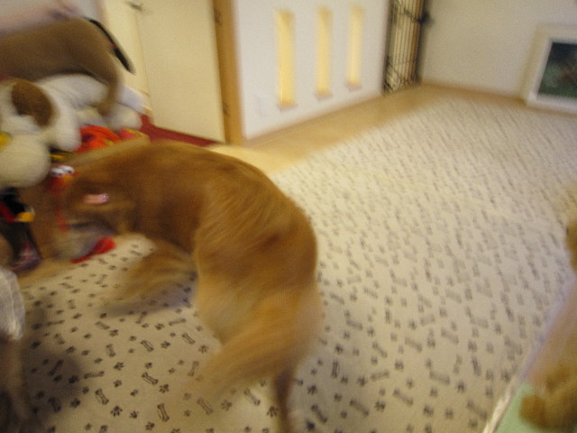 ファイル 1603-2.jpg