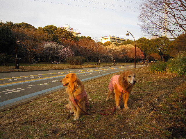 ファイル 1604-1.jpg