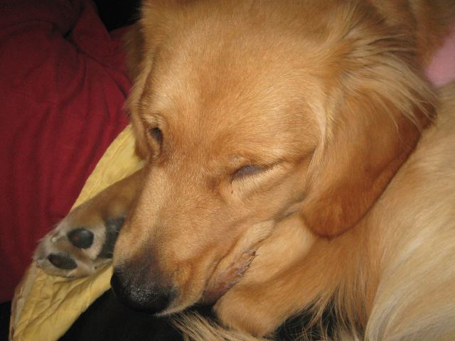 ファイル 161-2.jpg