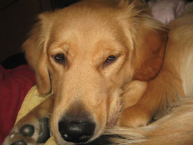 ファイル 161-3.jpg