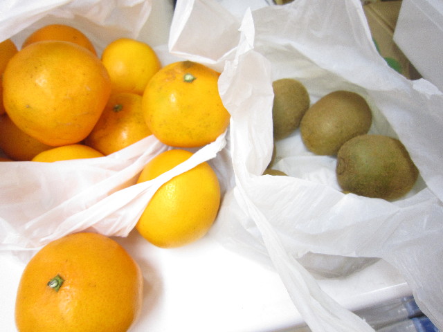 ファイル 1610-2.jpg