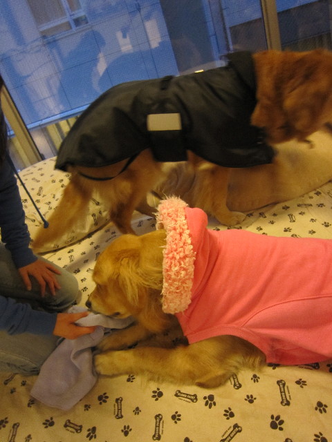 ファイル 1610-5.jpg