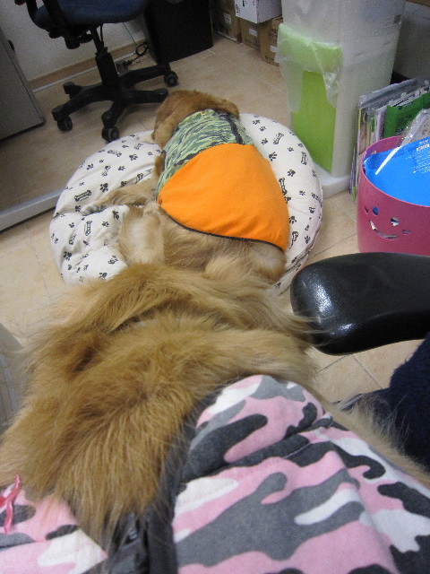 ファイル 1614-1.jpg