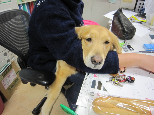 ファイル 1614-3.jpg