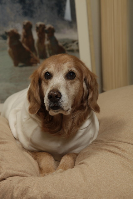 ファイル 1615-2.jpg