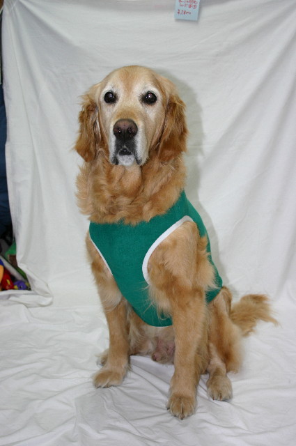 ファイル 1615-3.jpg