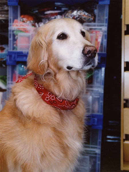 ファイル 1615-4.jpg