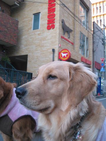 ファイル 162-1.jpg