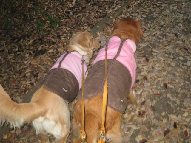 ファイル 162-3.jpg