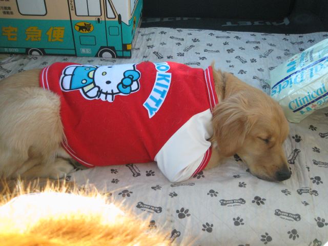 ファイル 162-4.jpg