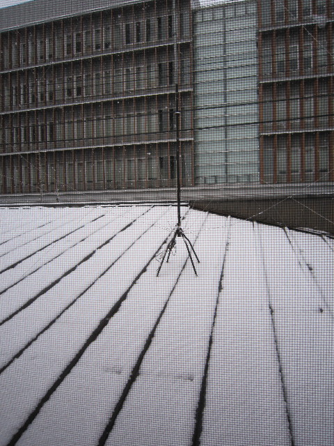 ファイル 1620-1.jpg