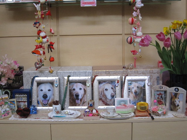 ファイル 1622-1.jpg