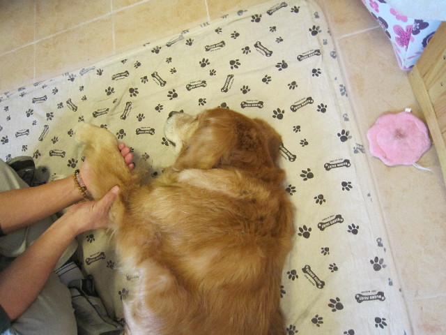 ファイル 1622-2.jpg