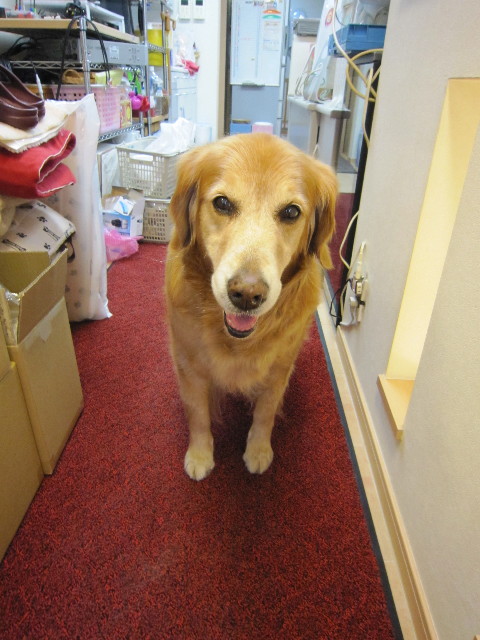 ファイル 1622-3.jpg