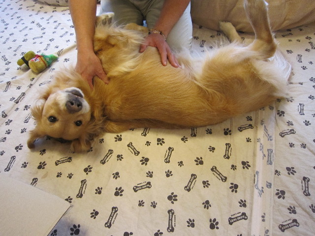 ファイル 1622-4.jpg