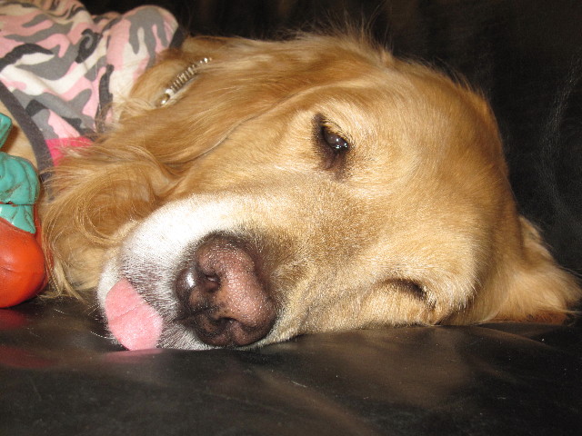 ファイル 1622-5.jpg