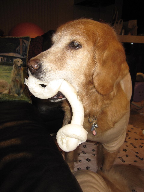 ファイル 1623-2.jpg