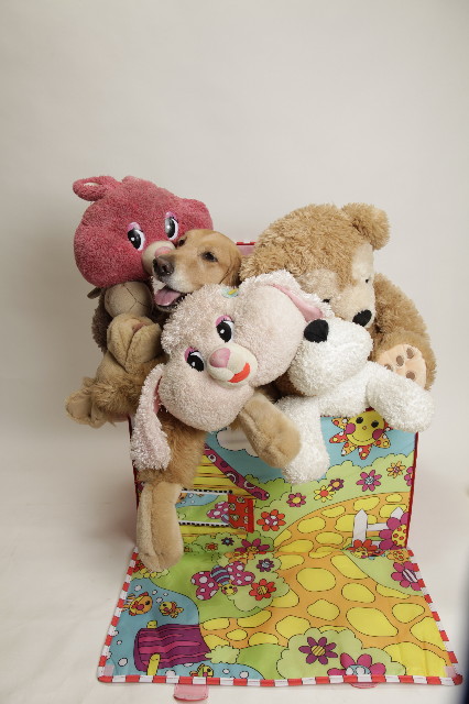 ファイル 1629-2.jpg