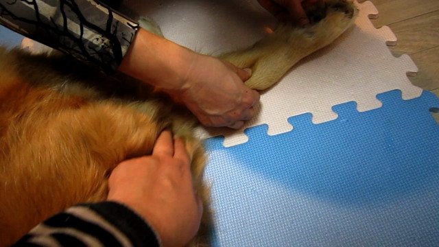 ファイル 1631-1.jpg