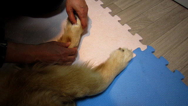 ファイル 1631-3.jpg