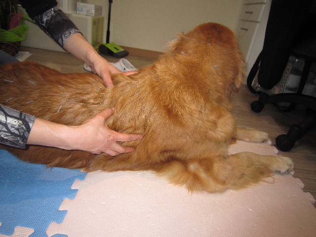 ファイル 1631-5.jpg