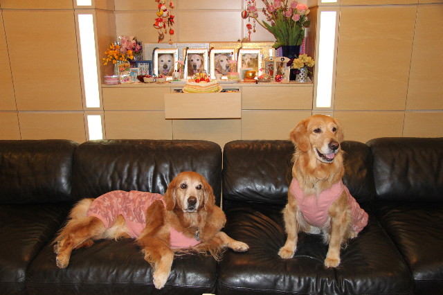 ファイル 1633-1.jpg