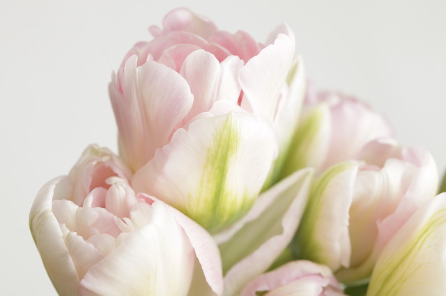 ファイル 1634-5.jpg