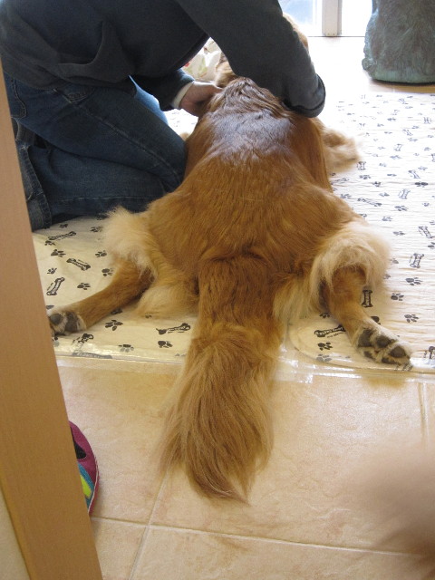 ファイル 1639-1.jpg