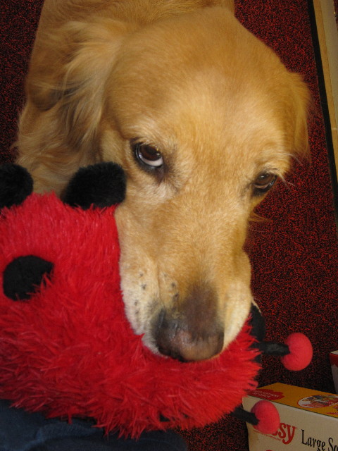 ファイル 1639-2.jpg