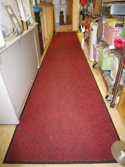 ファイル 1639-4.jpg