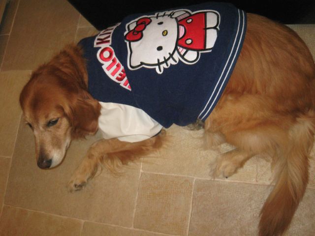 ファイル 164-5.jpg