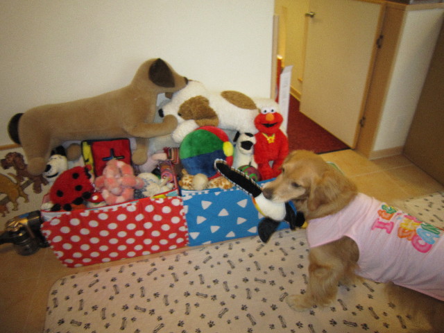 ファイル 1640-3.jpg