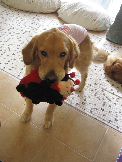 ファイル 1641-2.jpg