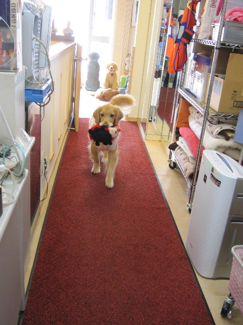 ファイル 1641-3.jpg