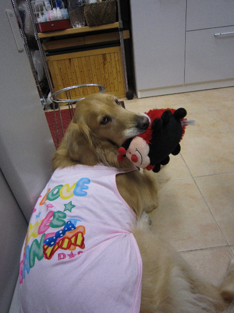 ファイル 1641-4.jpg