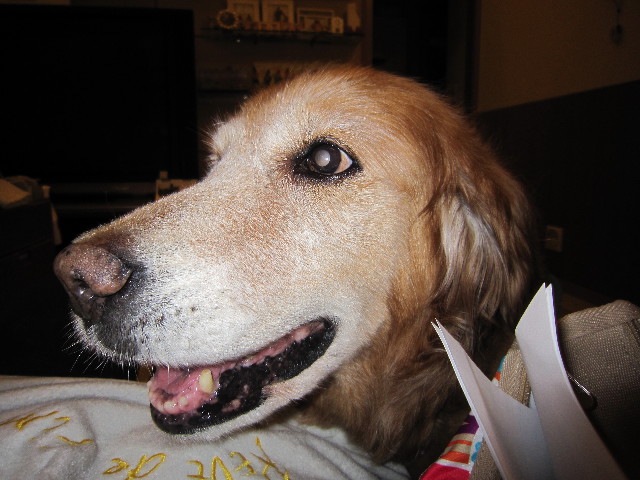 ファイル 1642-1.jpg