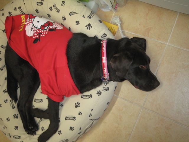 ファイル 165-1.jpg