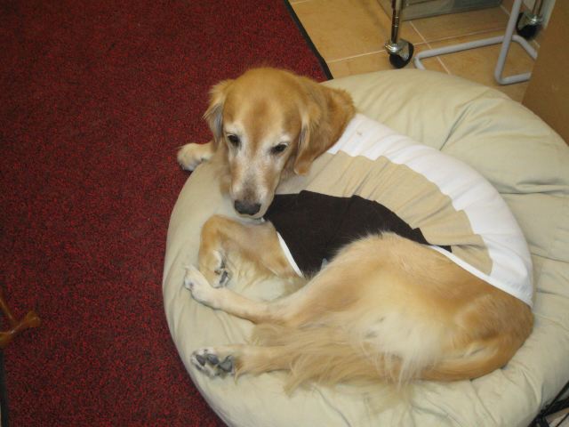 ファイル 165-2.jpg