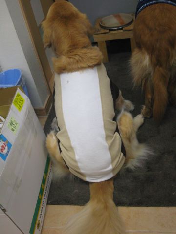 ファイル 165-3.jpg