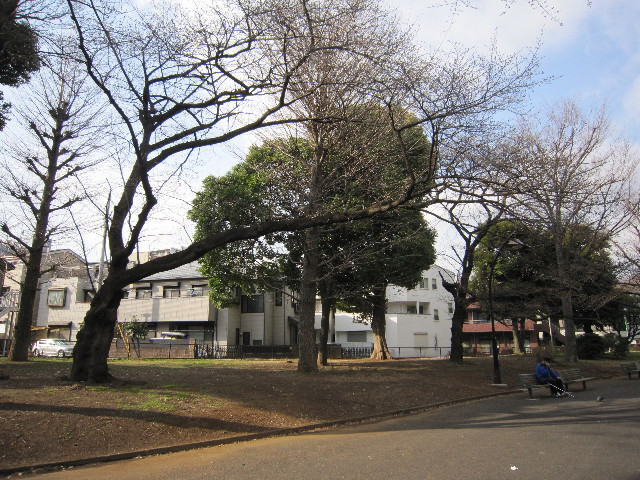 ファイル 1651-3.jpg