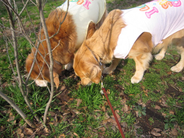 ファイル 1652-5.jpg