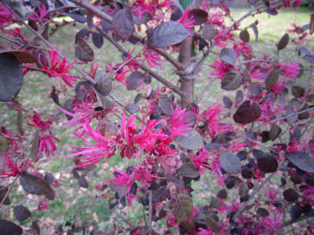 ファイル 1653-4.jpg