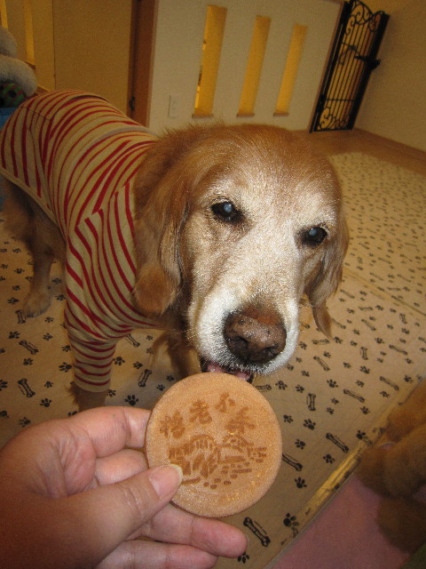 ファイル 1656-2.jpg