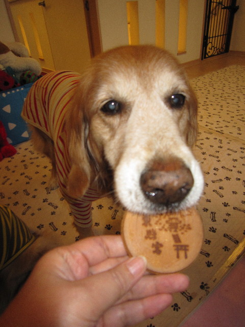 ファイル 1656-3.jpg